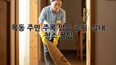 ✨ 목동 주민 주목! 맑은 공기 🏠 실내 청소 꿀팁 🌿