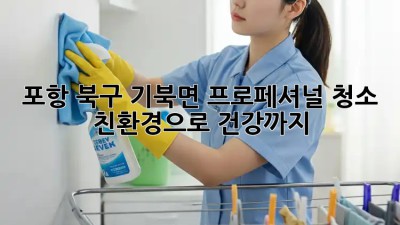 포항 북구 기북면 프로페셔널 청소 ✨ 친환경으로 건강까지!